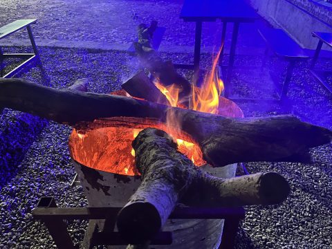 2024 11 pwc india 12