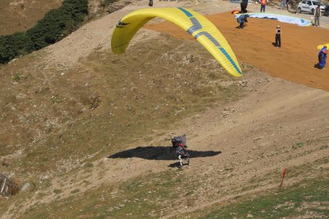 2024 11 pwc india 14