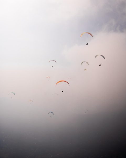 2024 11 pwc india 25