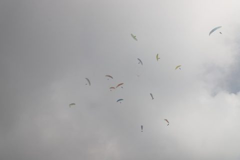 2024 11 pwc india 32