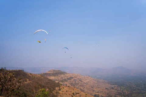 2026 02 pwc indie 03