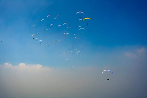 2026 02 pwc indie 06