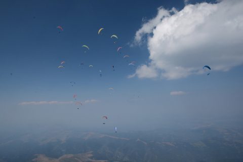 2026 09 pwc bulgaria 06
