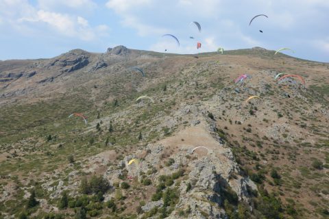 2026 09 pwc bulgaria 10