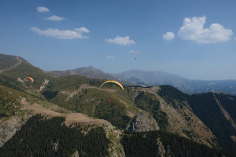 2026 09 pwc bulgaria 13